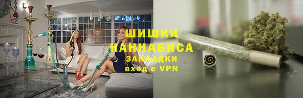 дживик Кострома