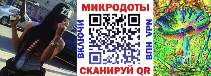 Псилоцибиновые грибы мицелий  кракен ССЫЛКА  Заполярный  как найти наркотики 